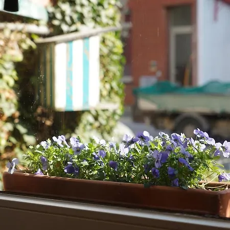 Renovated Appt In 20min From Bruges شقة *