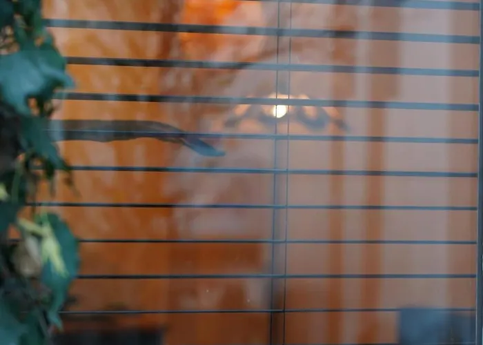 Renovated Appt In 20min From Bruges Appartement *